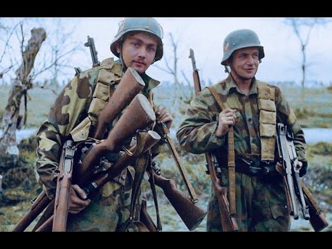 WW2 Allied Firearms in German Service
