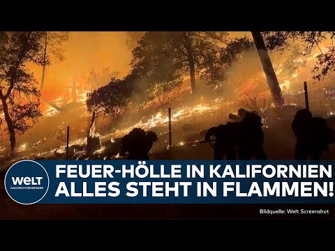 KALIFORNIEN: Verheerende Waldbrände in Napa County – 30 km² zerstört, hunderte Menschen evakuiert