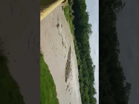 Viitură pe râul Cricov, la Albești Paleologu