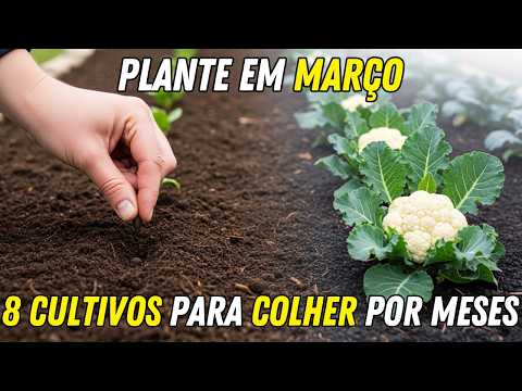 8 Crops You MUST Plant in March to Harvest in Winter