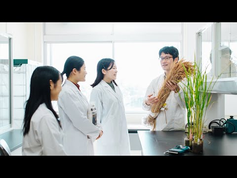 看護学科 イネの収量構成要素 〜お米の生産量を増やすために〜/鳥羽 大陽/オンライン公開講座/宮城大学研究推進・地域未来共創センター
