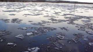 preview picture of video 'Ice on the Tay at Newburgh 2 January 2010'