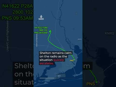 Young pilot makes daring emergency landing on Florida interstate