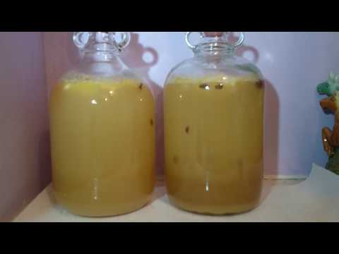 Mead Making: Dancing Raisins