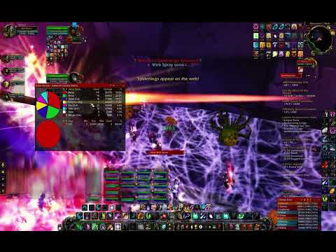 [WoW: WotLK] Naxxramas, Maexxna (25, Healer POV)