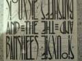 Siouxsie Sioux They Follow You...... A Fans Journey