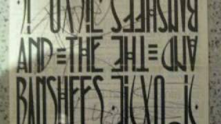 Siouxsie Sioux They Follow You...... A Fans Journey