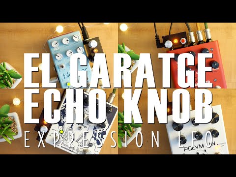 El Garatge Echo Knob and expression LFO image 5