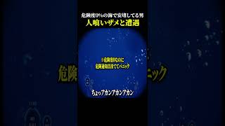 『危険度0%』の海で人喰いザメと遭遇する男【Wreck Below】