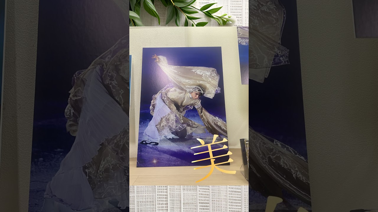 写真集「羽」パネル展＠紀伊國屋書店梅田本店　行ってきたよ！ #shotrs  #hanyuyuzuru