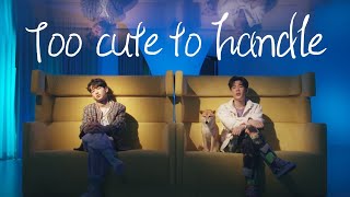 [中/ENG/THAI/ROM] Too cute to handle ไม่รักไม่ลง - OffGun ออฟ, กัน