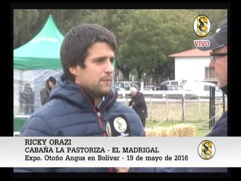 19-05-16 NOTA RICKY ORAZI - CABAÑA LA PASTORIZA Y EL MADRIGAL - EXPO BOLIVAR - BOLIVAR