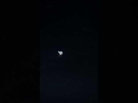 YouTube 썸네일