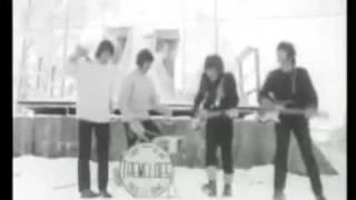 Tremeloes - Suddenly You Love Me video