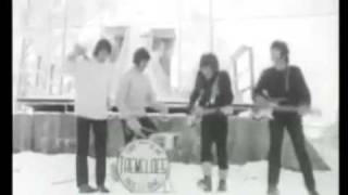 The Tremeloes - Suddenly You Love Me