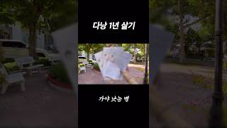 🇻🇳다낭 1년 살기 브이로그 #shorts