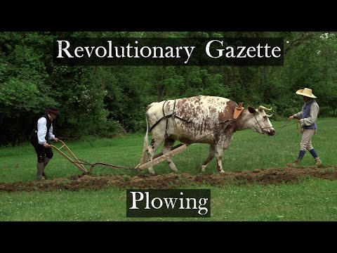Spring Plowing - Revolutionary War Farm experience