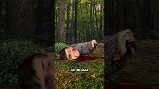 Cómo Engañar A Un Oso 🐻