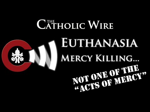 What every Catholic Should Know about: Euthanasia