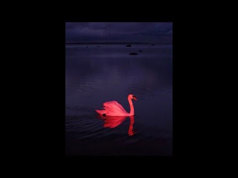 Hamza x Green Montana Type Beat - "Jour et nuit" (prod. dibi)