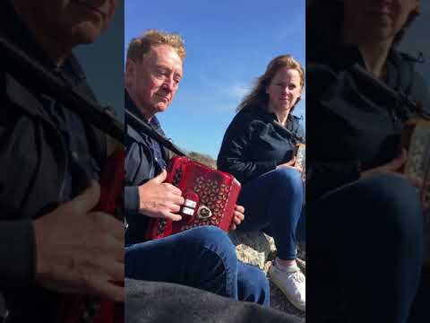 Down by the Sally Gardens - Irish traditional song on button accordion