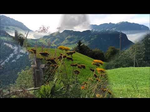 Lueget vo Berge und Tal #2 | 2.stimmig Schwyzerörgeli | Ferdinand Huber