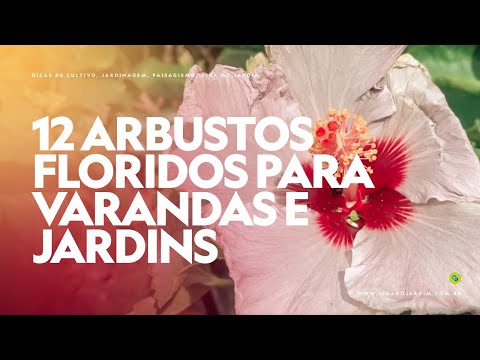 12 FLOWERING SHRUBS for SUNNY BALCONIES and GARDENS