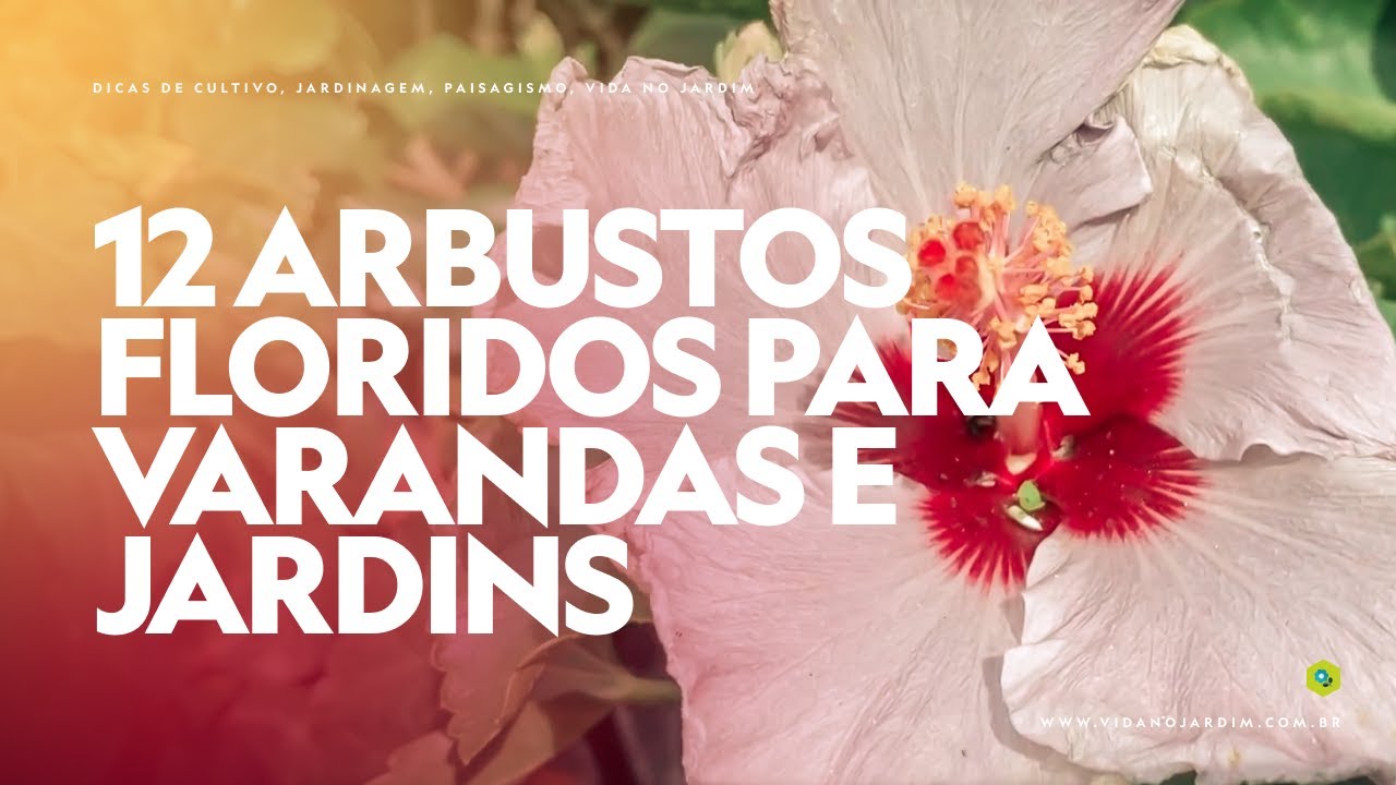 12 ARBUSTOS FLORIDOS para VARANDAS e JARDINS ENSOLARADOS