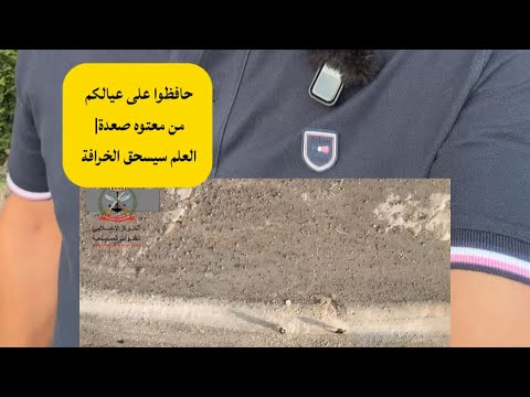 علي البخيتي