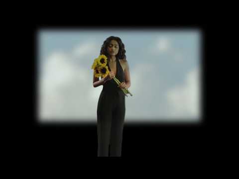 No Pressure - Dana Williams