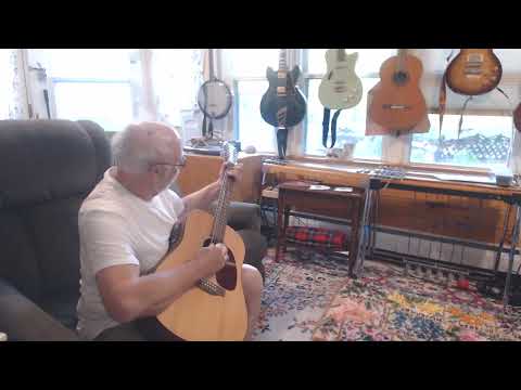 12 string   D12 Natural