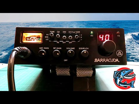 BARRACUDA - CATCH ONE IF YOU CAN! - A VERY UNDERRATED SET