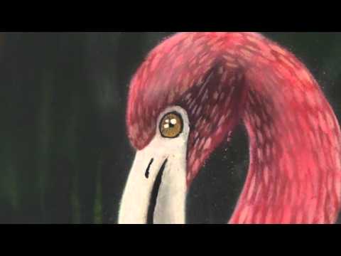 SALA ESPECIAL 92 _ PONDER70 _ Floresta Especial