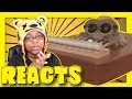 Lucas The Spider - Musical Spider Reaction Lucas The Spider - Musical Spider Reaction