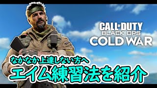 【CoD:BOCW】エイムがなかなか上達しない人はチェックしてみてね