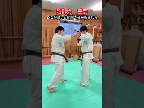 【武道・格闘技】あまり重要視しない武道もあるが絶対に強い方が良い！？防御力！！　#aikido ＃karate #martial #武道 #空手＃合気道＃筋トレ#selfdefens