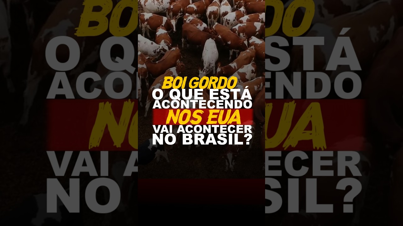BOI GORDO: O QUE ESTÁ ACONTECENDO NOS EUA VAI ACONTECER NO BRASIL?