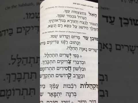 Chazan Nathan Gluck - Yom Tov Shacharis Beginning