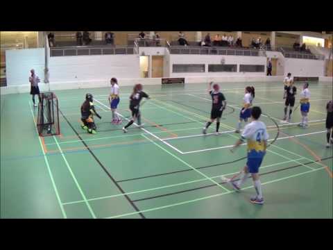 Happee Naiset Top 10 Maalit 2016-2017