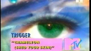 TRIGGER - Chameleon (Shed Your Skin)