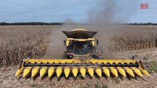 Download lagu 10,000 Bushels an Hour NEW HOLLAND CR11 Combine mp3 Download lagu 10,000 Bushels an Hour NEW HOLLAND CR11 Combine mp3