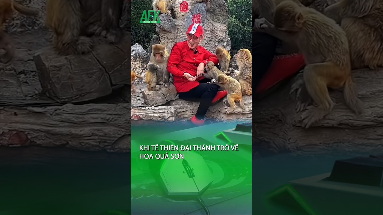 Khi Tề Thiên Đại Thánh trở về Hoa Quả Sơn trong Tây Du Ký