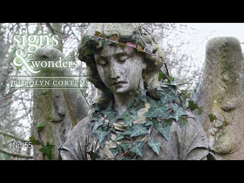 Signs & Wonders no. 55: Your Guiding Angel