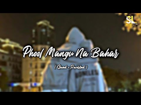 Phool Mangu Na Bahar ( Slowed x Reverbed ) ।। Udit Narayan & Alka Yagnik ।। Sudip Lyrics