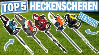 Top 5 BENZIN HECKENSCHEREN 2025 | Die besten Benzin Heckenscheren