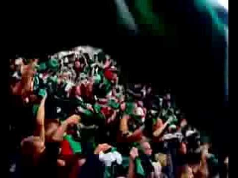 korona-stal 09.08.2008