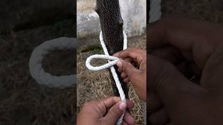 1 Knot Mostly Used In Our Everyday Life 👍#knot #rope #knottying