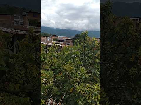 viendo todo FLORIDA VALLE DEL CAUCA, SUSCRIBETE