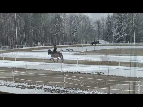 Turniervorbereitungskurs mit Carina Piber