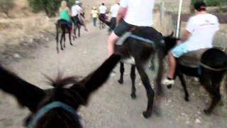 preview picture of video 'Прогулка на осликах (Riding on donkeys)'